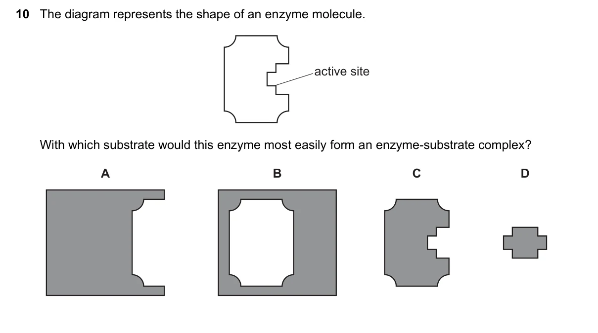 Question 10, March 2016, 0610 Paper 22