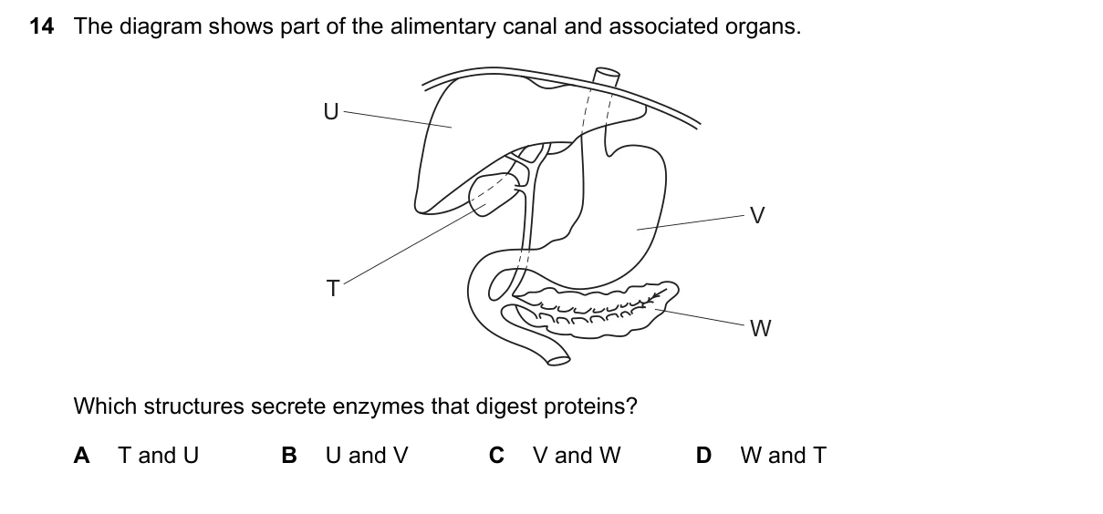 Question 14, March 2016, 0610 Paper 22