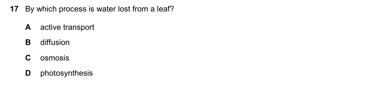 Question 17, March 2016, 0610 Paper 22
