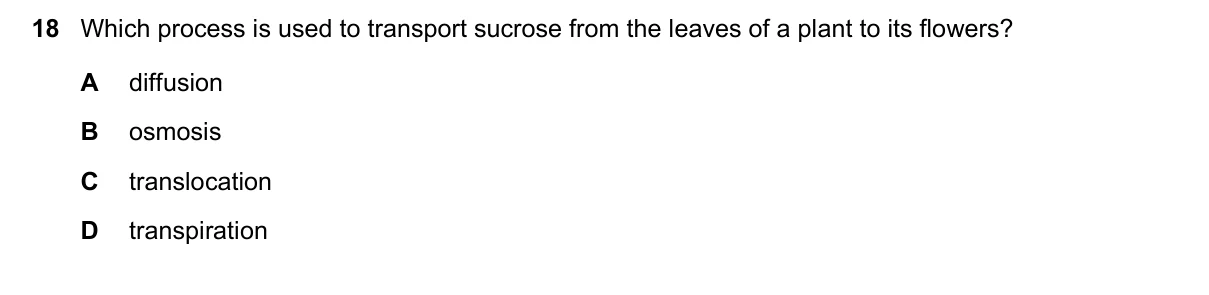 Question 18, March 2016, 0610 Paper 22
