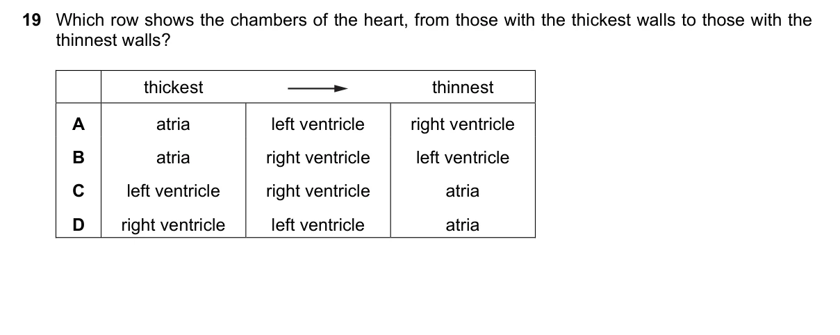 Question 19, March 2016, 0610 Paper 22