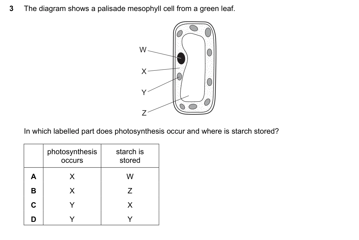 Question 3, March 2016, 0610 Paper 22