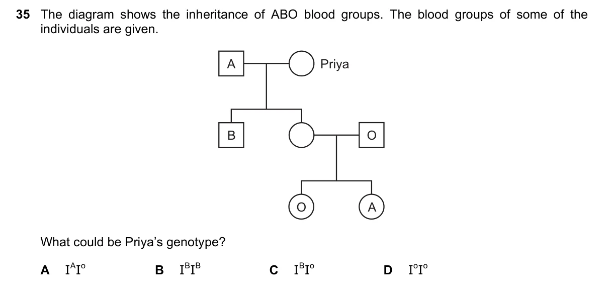 Question 35, March 2016, 0610 Paper 22