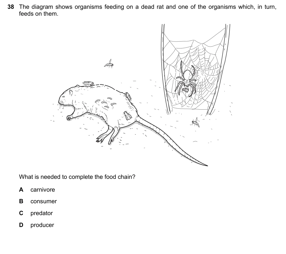Question 38, March 2016, 0610 Paper 22