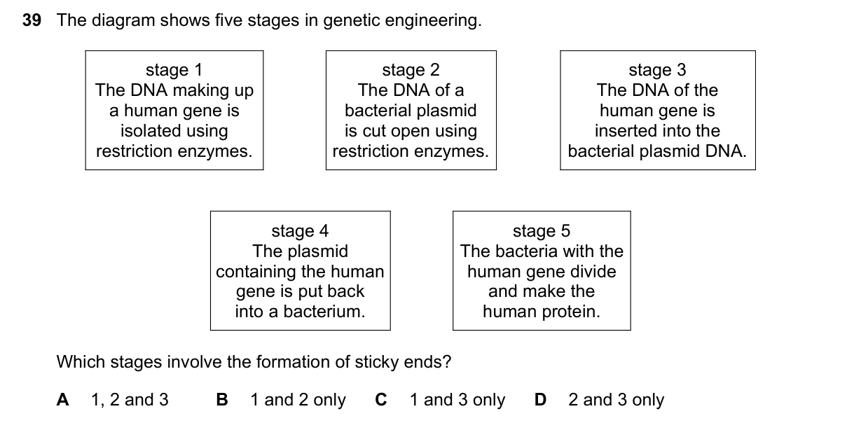 Question 39, March 2016, 0610 Paper 22