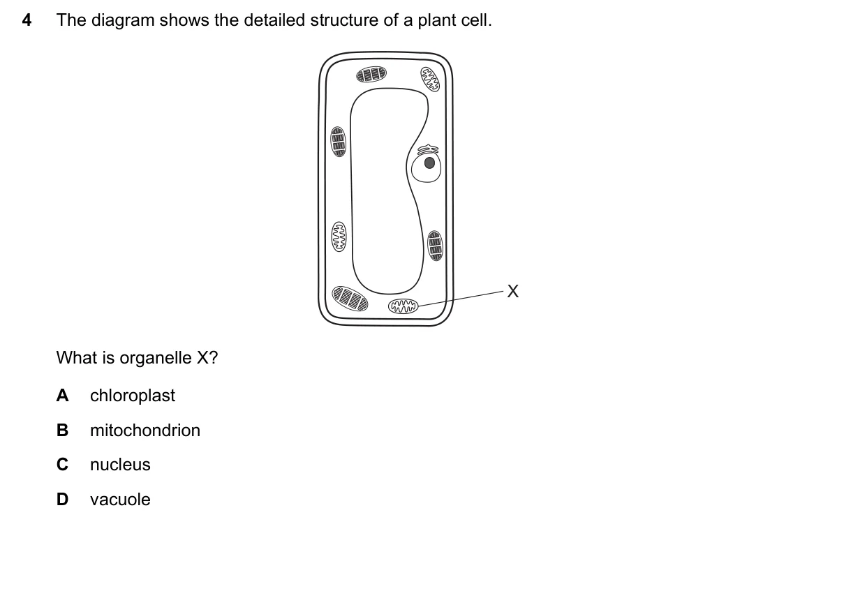 Question 4, March 2016, 0610 Paper 22