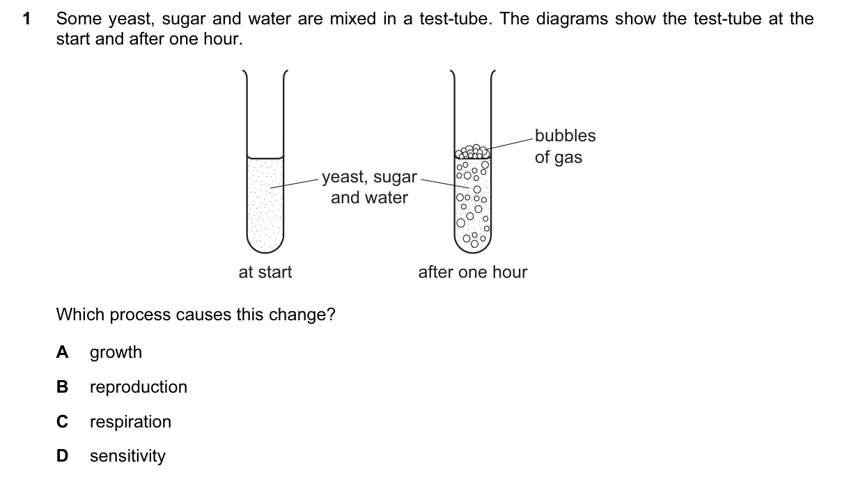 Question 1, June 2016, 0610 Paper 11