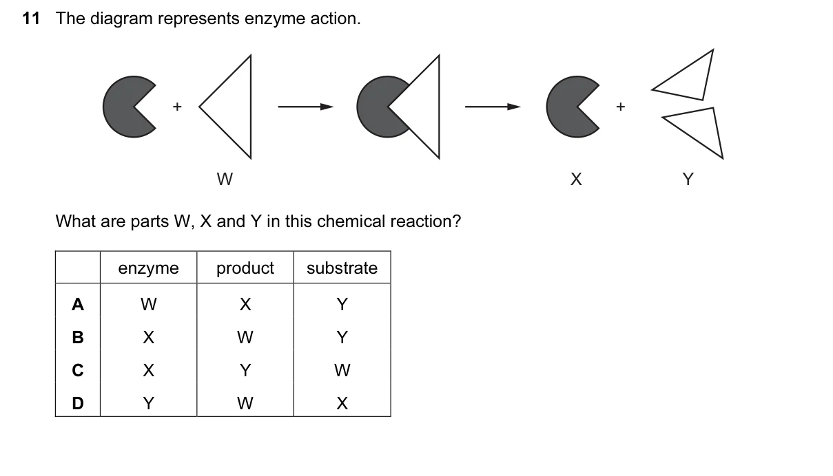 Question 11, June 2016, 0610 Paper 11