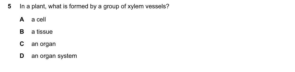 Question 5, June 2016, 0610 Paper 11