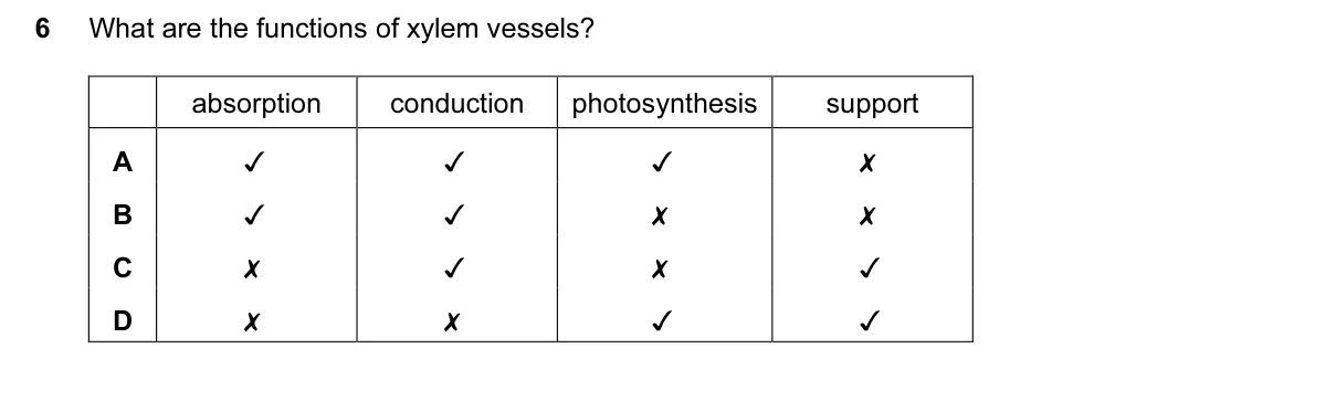 Question 6, June 2016, 0610 Paper 11