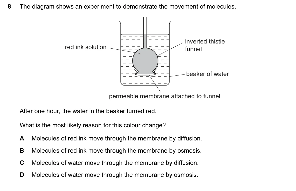 Question 8, June 2016, 0610 Paper 11
