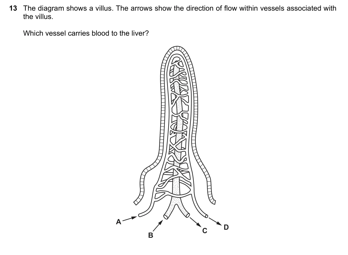 Question 13, June 2016, 0610 Paper 21
