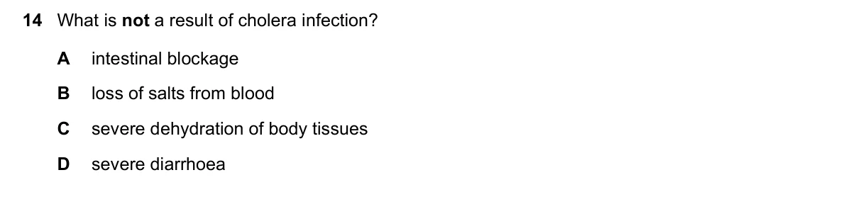 Question 14, June 2016, 0610 Paper 21