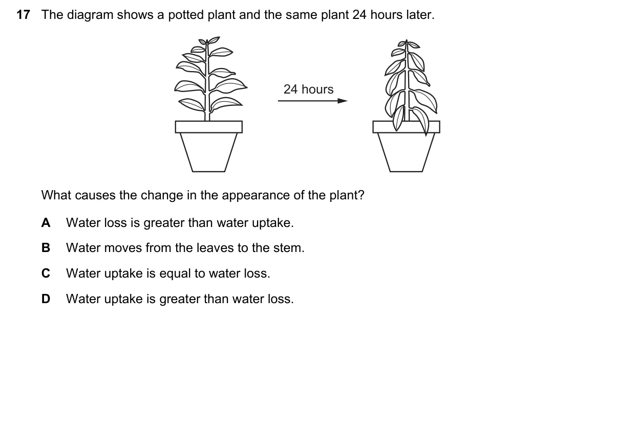 Question 17, June 2016, 0610 Paper 21