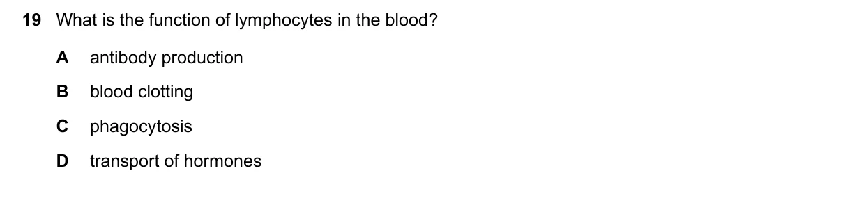 Question 19, June 2016, 0610 Paper 21