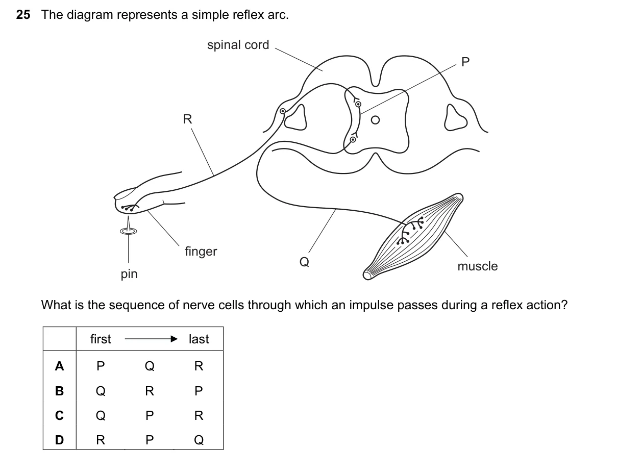 Question 25, June 2016, 0610 Paper 21