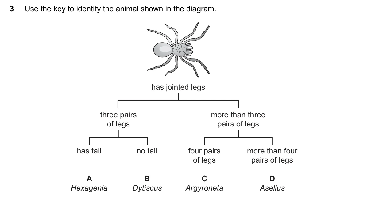 Question 3, June 2016, 0610 Paper 21