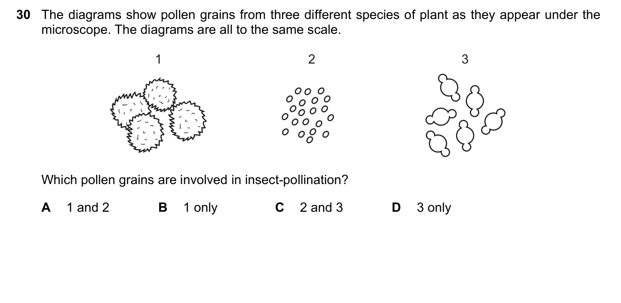 Question 30, June 2016, 0610 Paper 21