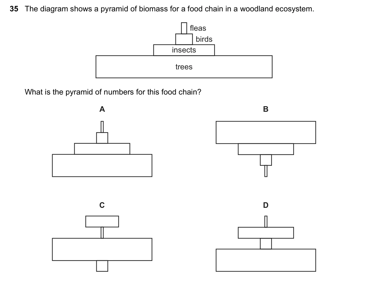 Question 35, June 2016, 0610 Paper 21