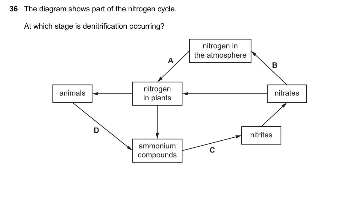 Question 36, June 2016, 0610 Paper 21