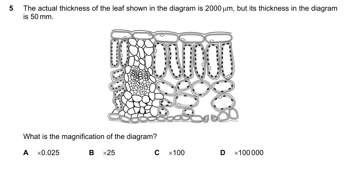 Question 5, June 2016, 0610 Paper 21