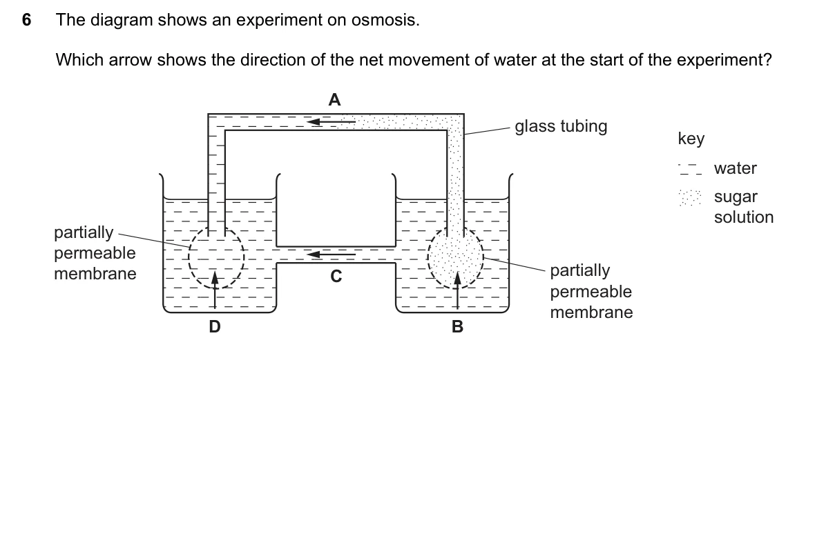 Question 6, June 2016, 0610 Paper 21