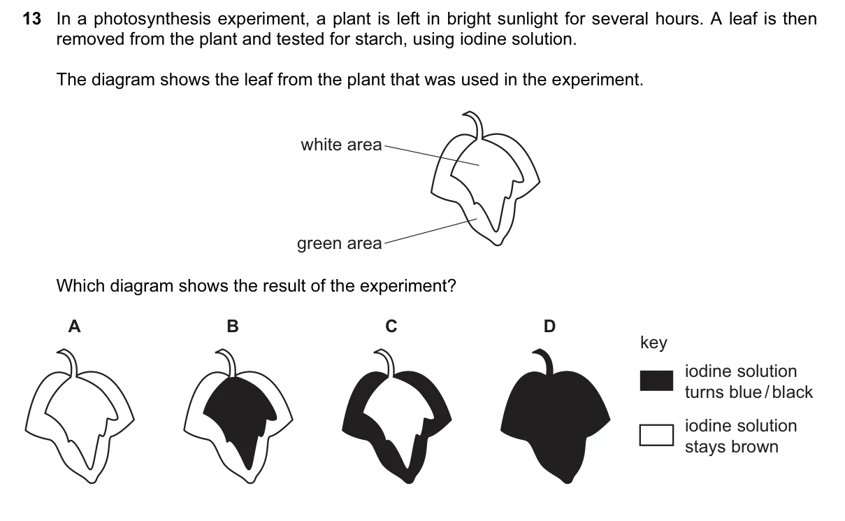 Question 13, June 2016, 0610 Paper 12