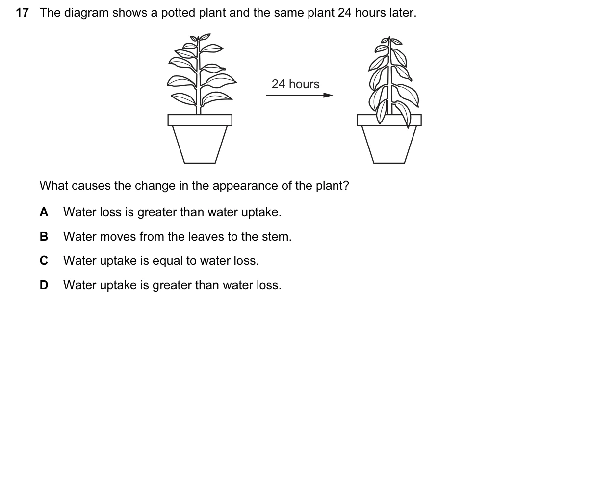 Question 17, June 2016, 0610 Paper 12