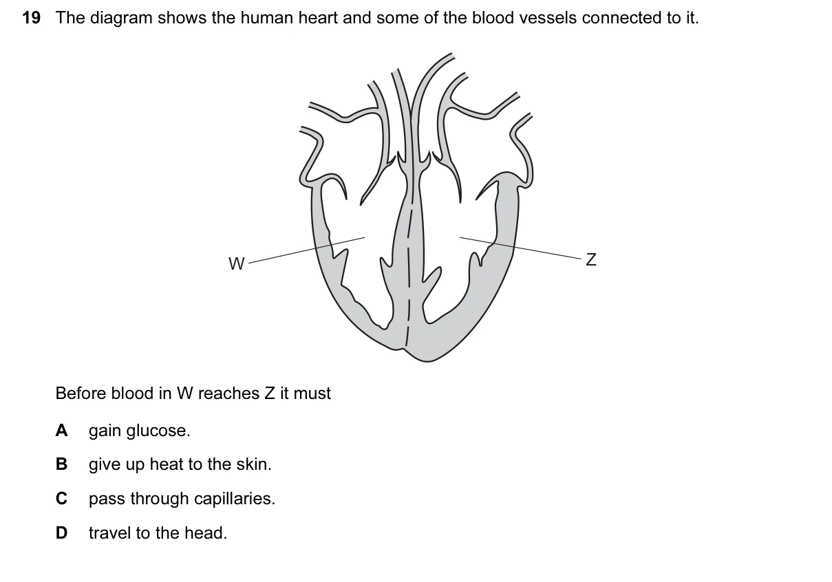 Question 19, June 2016, 0610 Paper 12