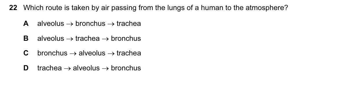 Question 22, June 2016, 0610 Paper 12