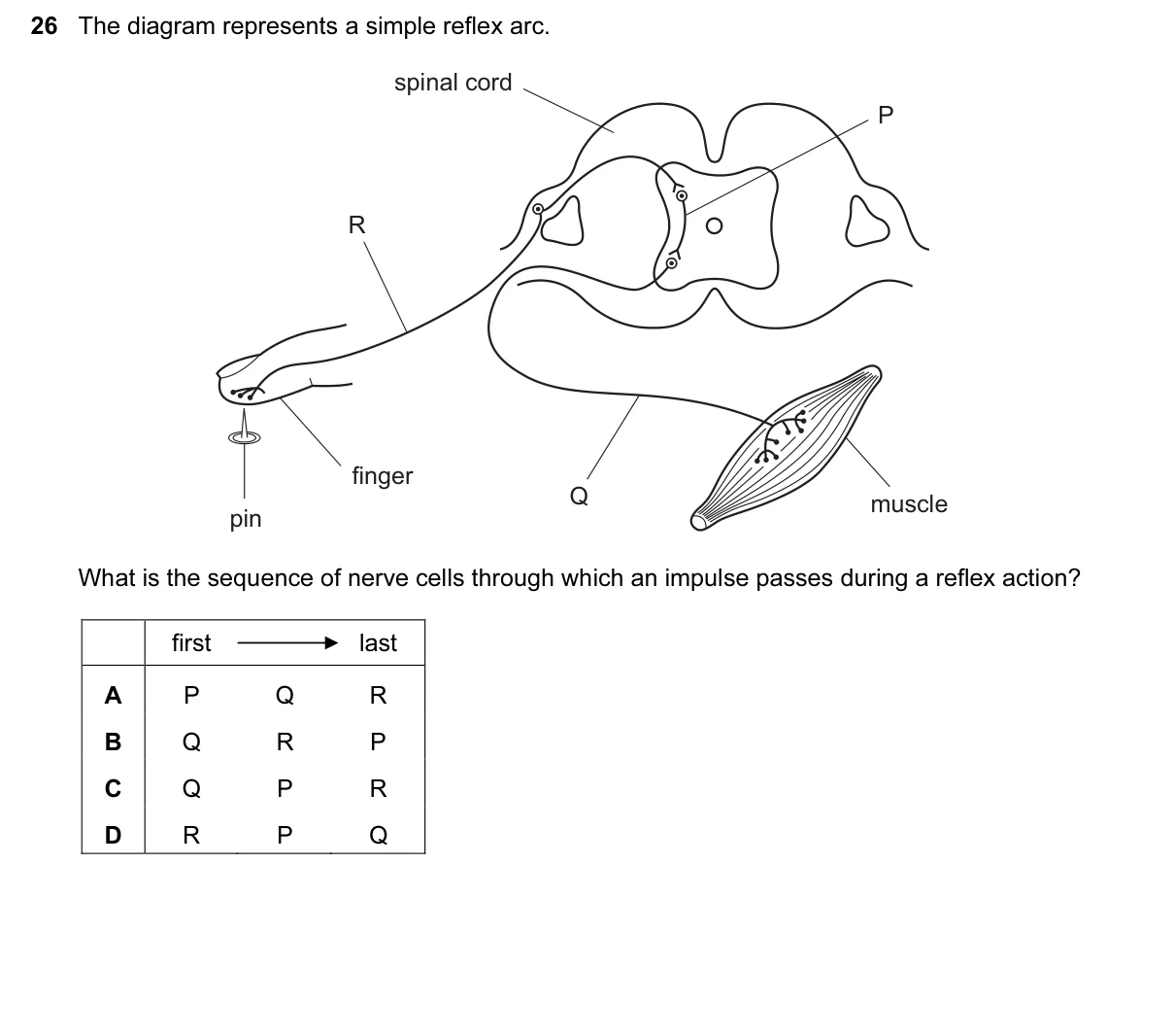 Question 26, June 2016, 0610 Paper 12