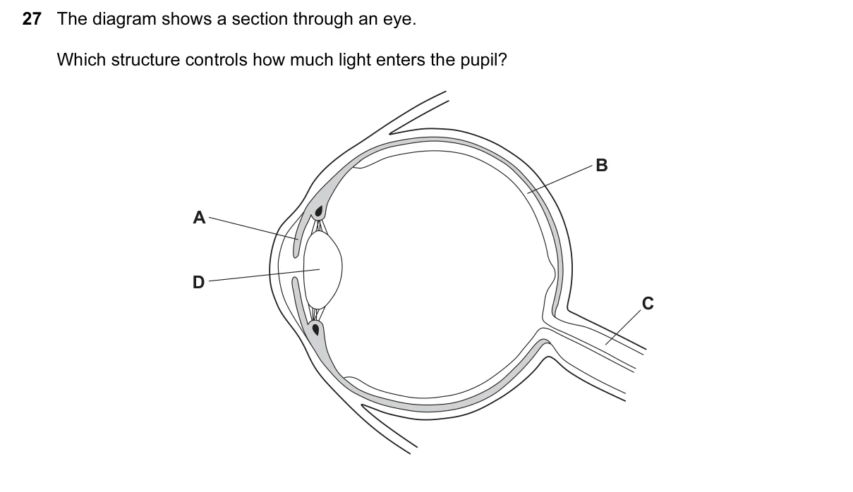 Question 27, June 2016, 0610 Paper 12