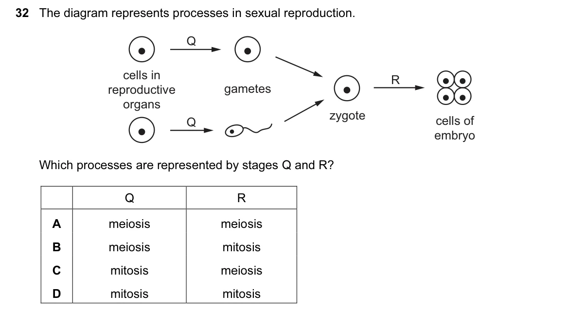 Question 32, June 2016, 0610 Paper 12