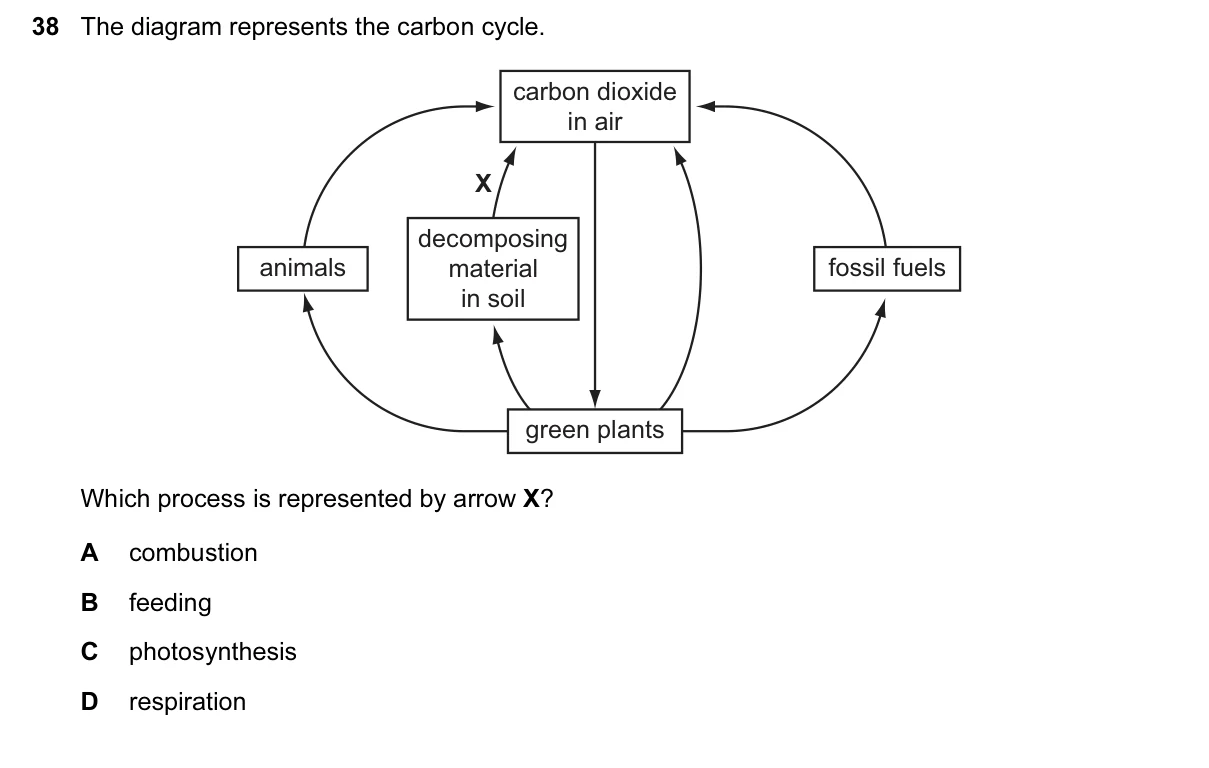 Question 38, June 2016, 0610 Paper 12