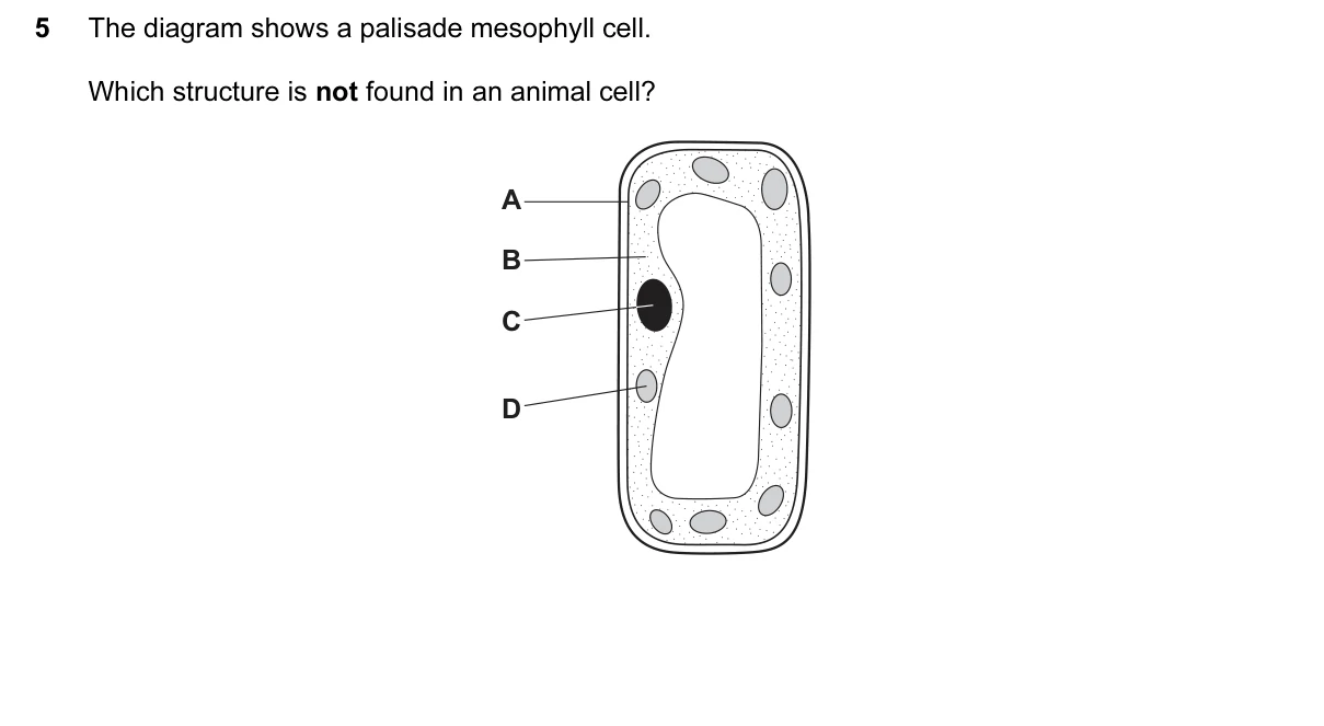 Question 5, June 2016, 0610 Paper 12