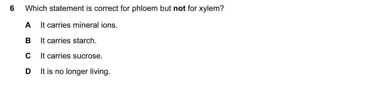 Question 6, June 2016, 0610 Paper 12