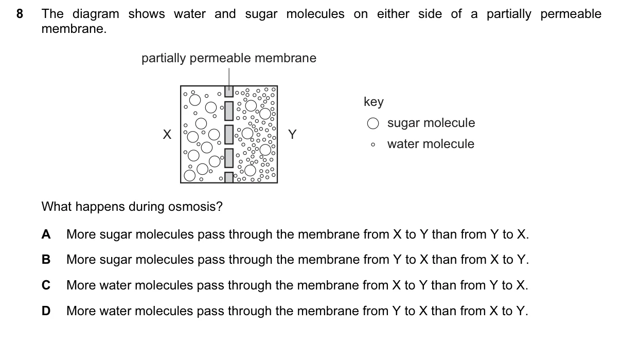 Question 8, June 2016, 0610 Paper 12
