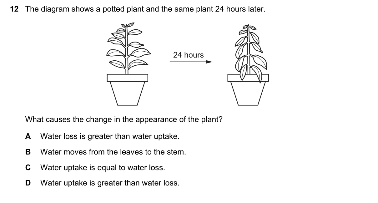 Question 12, June 2016, 0610 Paper 22