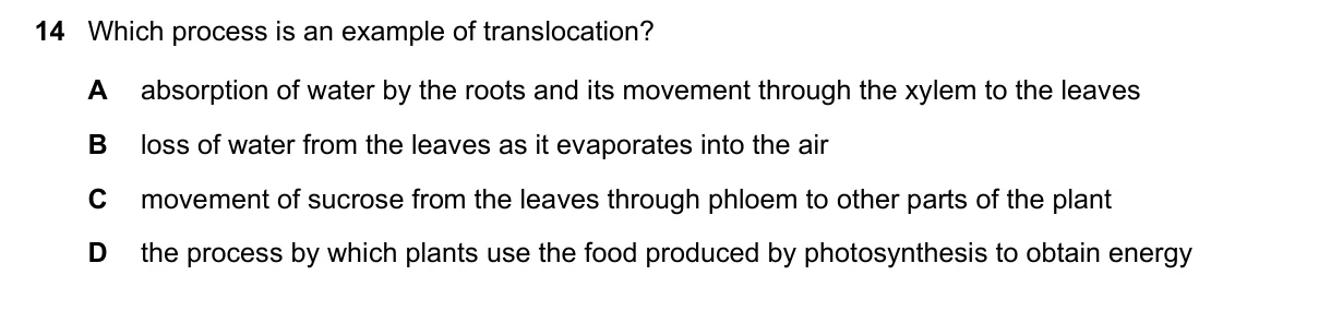 Question 14, June 2016, 0610 Paper 22