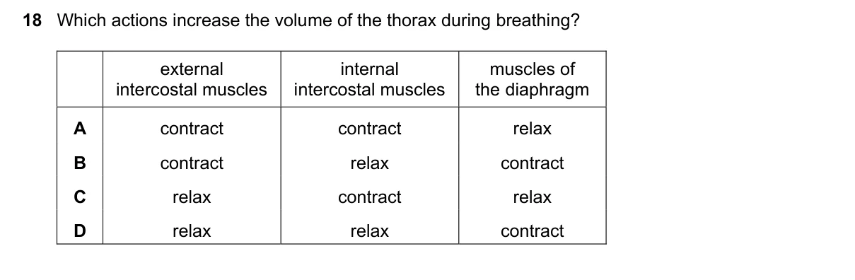 Question 18, June 2016, 0610 Paper 22