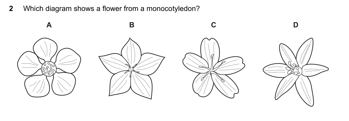 Question 2, June 2016, 0610 Paper 22