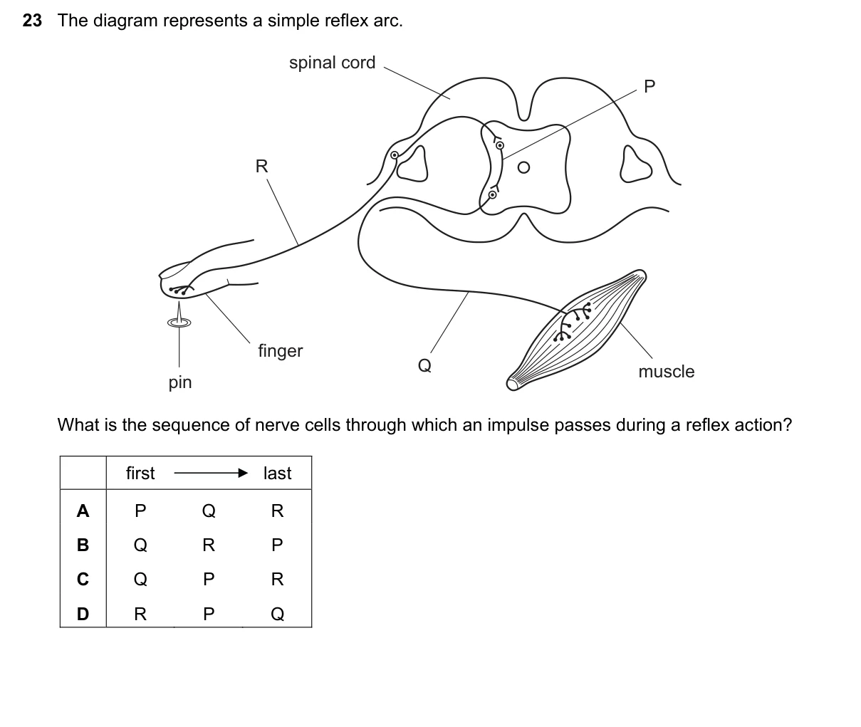Question 23, June 2016, 0610 Paper 22