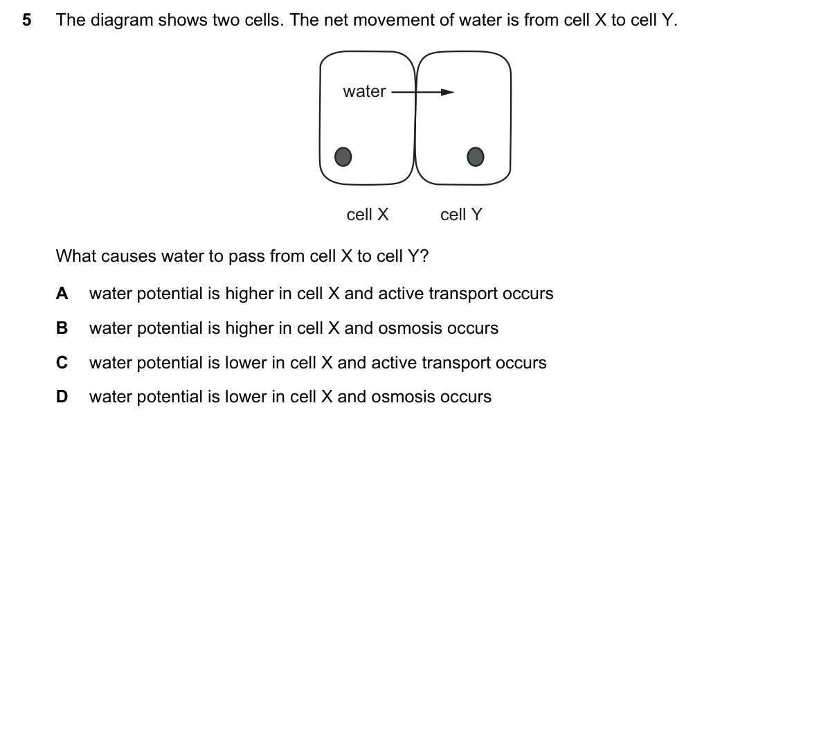 Question 5, June 2016, 0610 Paper 22