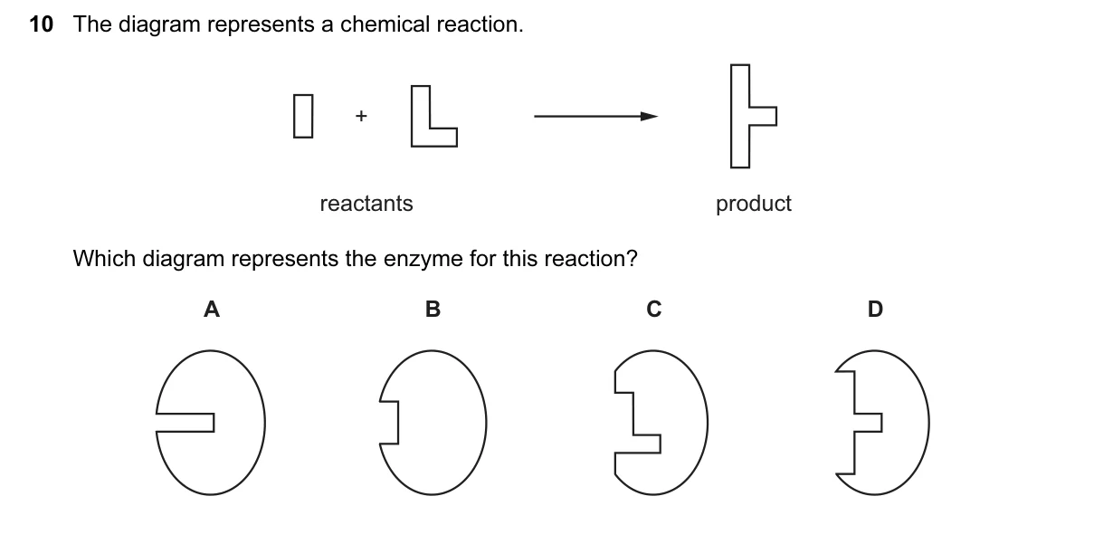 Question 10, June 2016, 0610 Paper 13