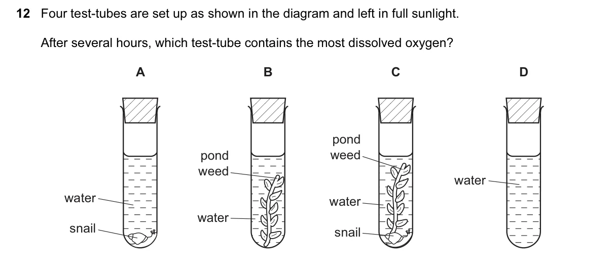 Question 12, June 2016, 0610 Paper 13
