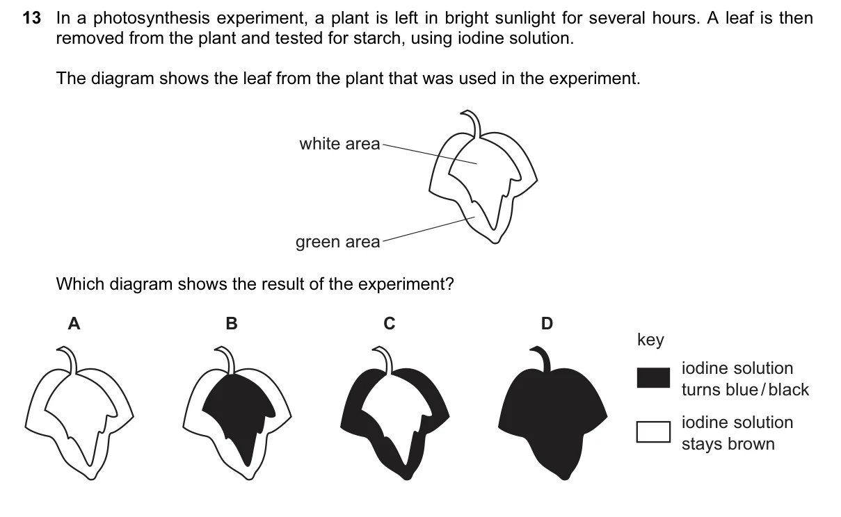 Question 13, June 2016, 0610 Paper 13