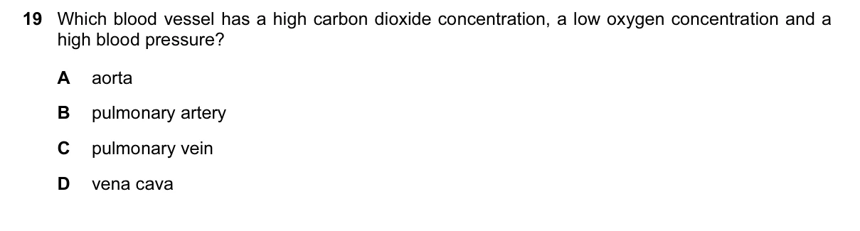 Question 19, June 2016, 0610 Paper 13