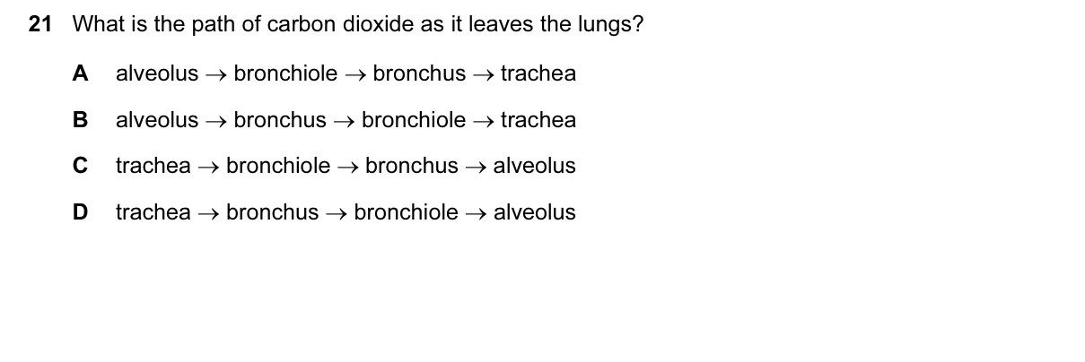 Question 21, June 2016, 0610 Paper 13