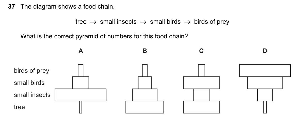 Question 37, June 2016, 0610 Paper 13