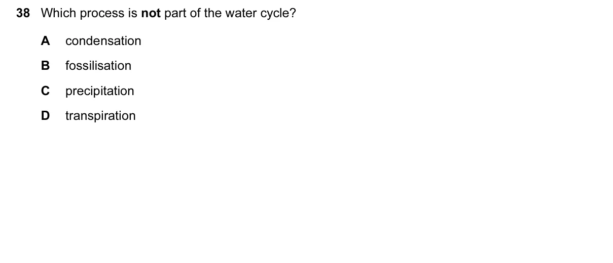 Question 38, June 2016, 0610 Paper 13